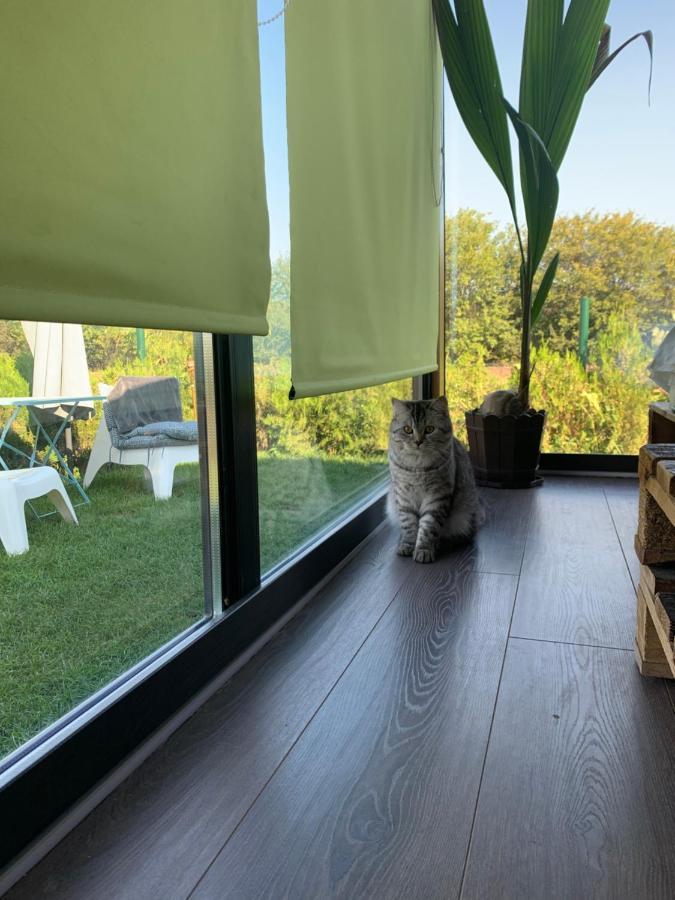 Tu&Ya Cabins Agigea Eksteriør bilde